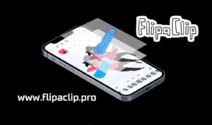 flipaclip